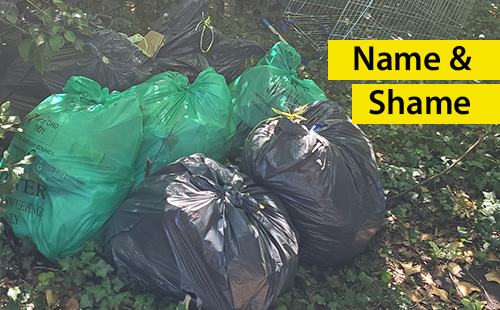 Dumped waste